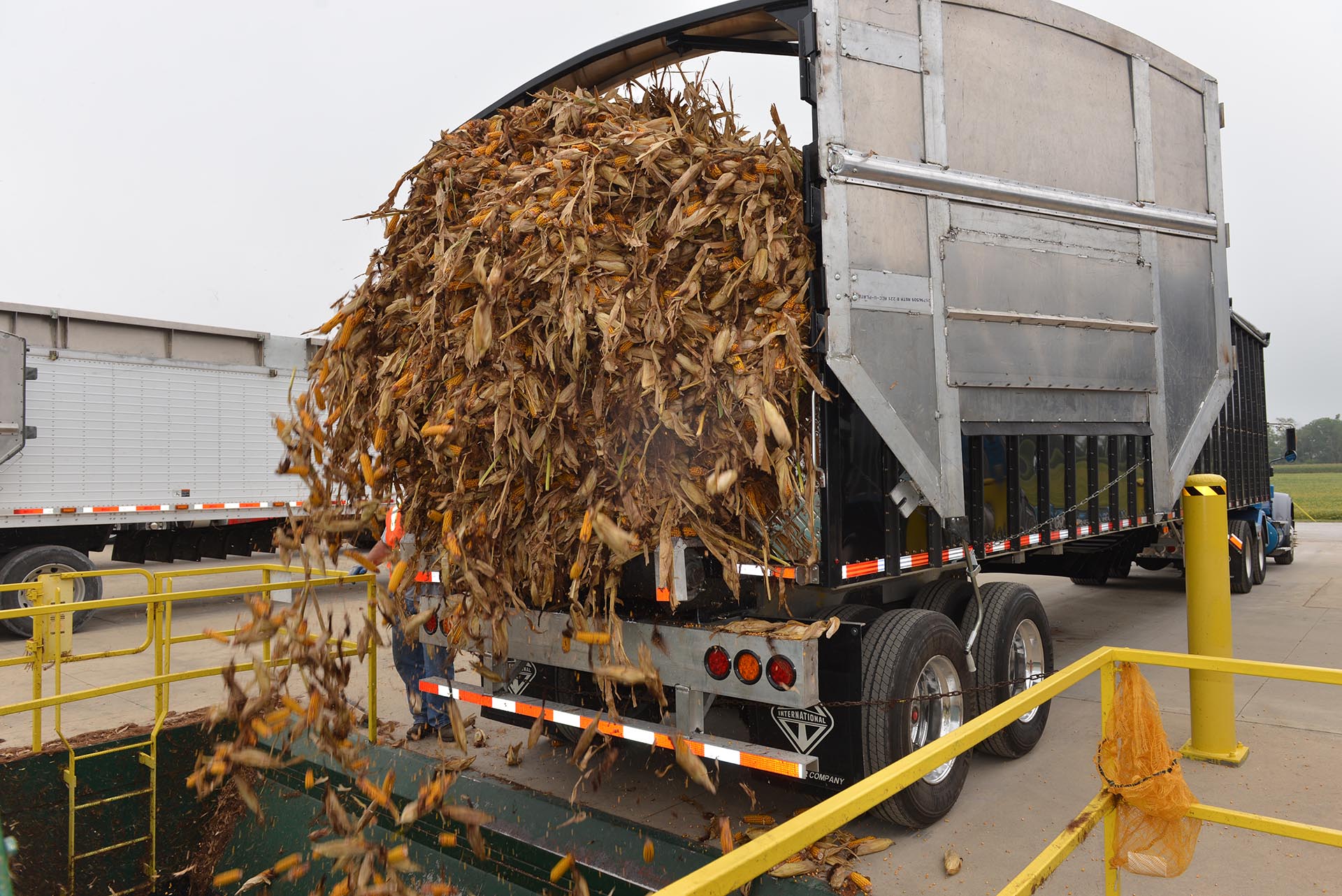 Ferguson Farms Inc. Since 1950